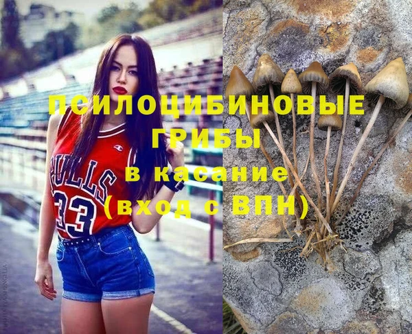 Альфа ПВП Вяземский