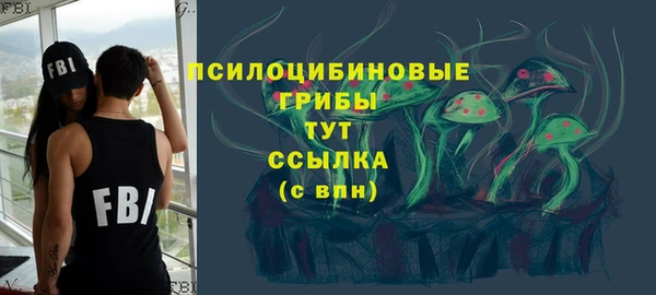 амф Володарск