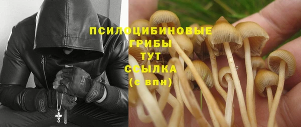 стаф Волосово