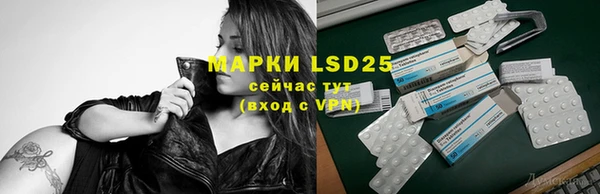 стаф Волосово