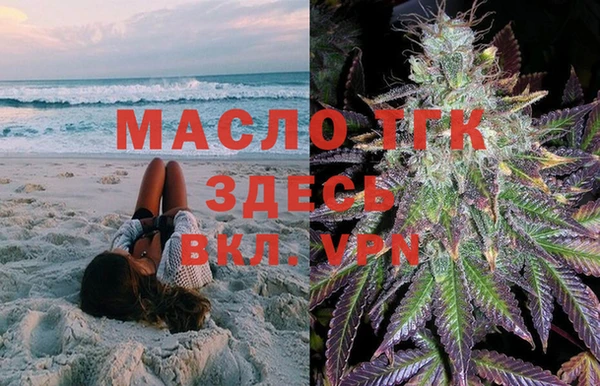 стаф Волосово