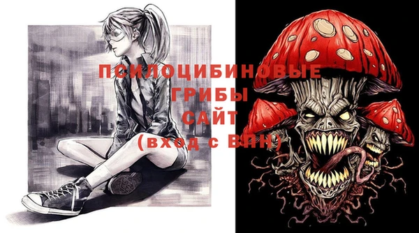 амф Володарск