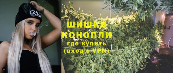 Альфа ПВП Вяземский