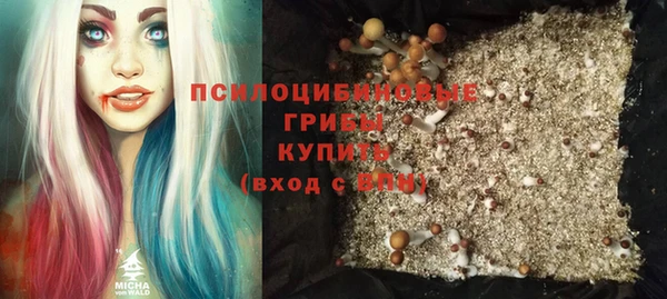 стаф Волосово