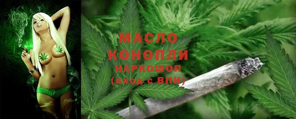 стаф Волосово