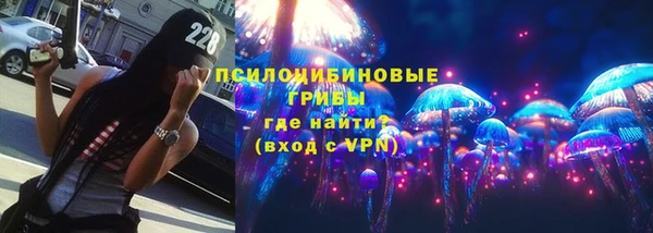 Альфа ПВП Вяземский