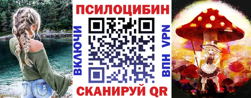 OMG tor  закладка  Владикавказ  Псилоцибиновые грибы Psilocybe 